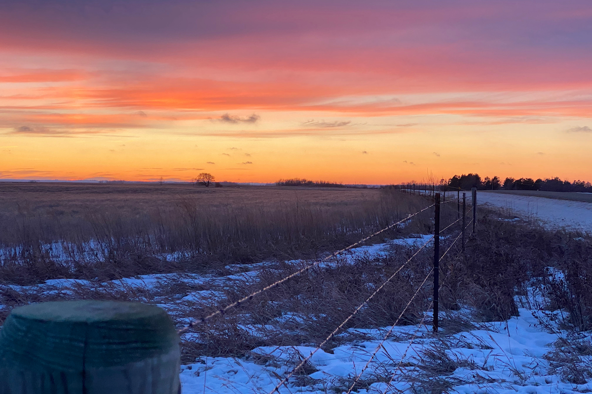 Minot, ND